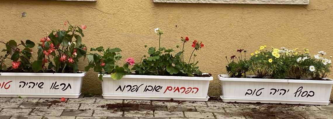 פרי גנך- עדי אדרי